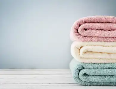 Shutterstock 361234406