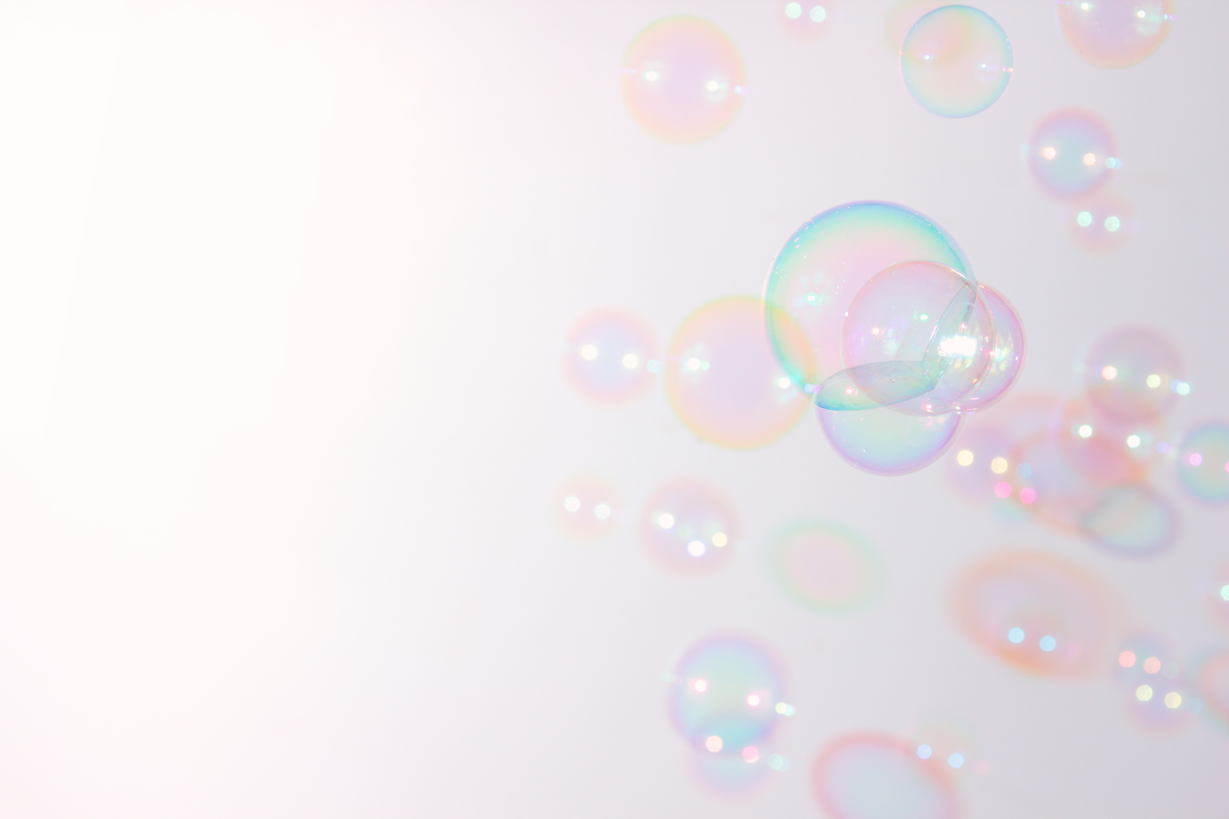 Shutterstock 657474367 (1)