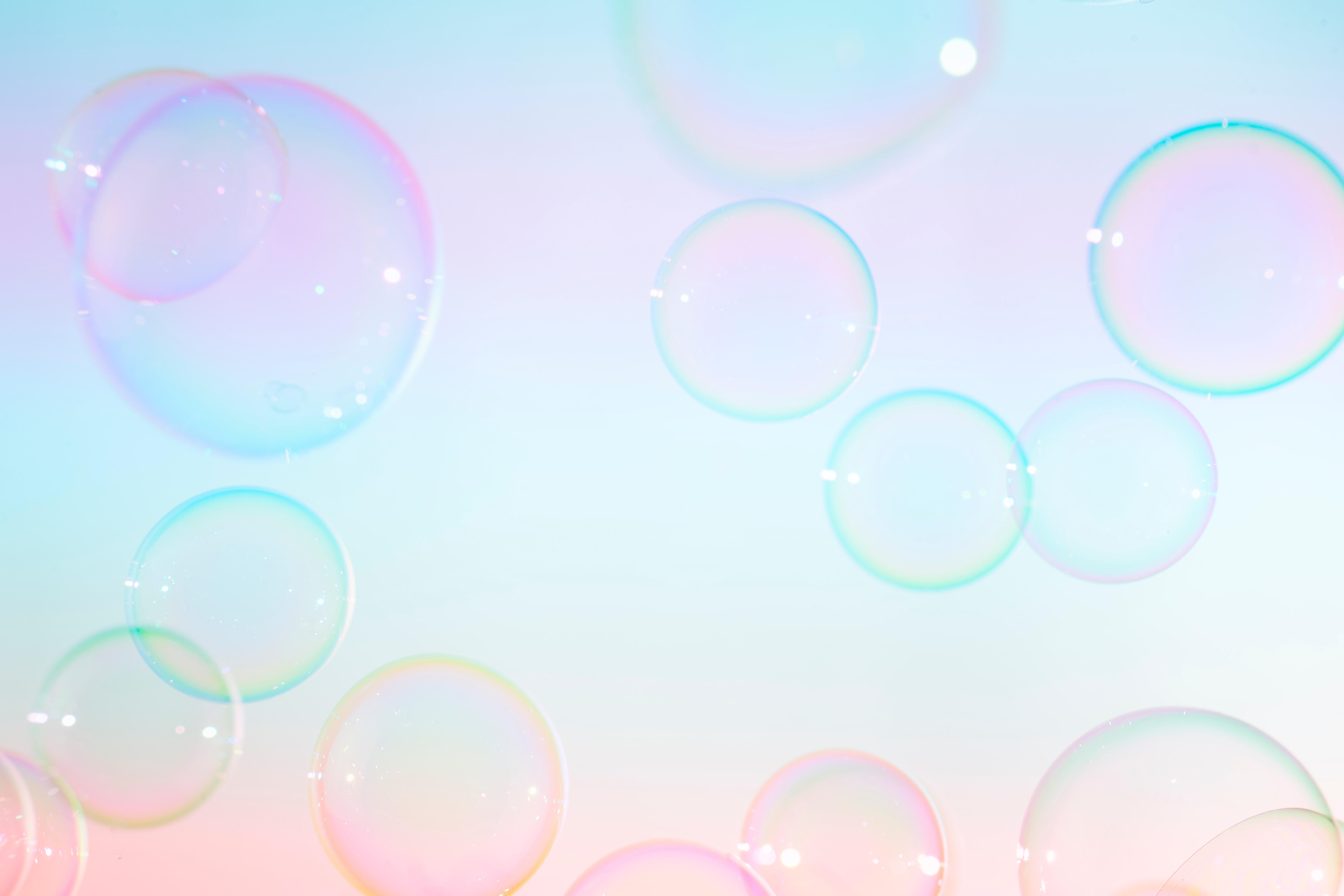 Shutterstock 1933604171