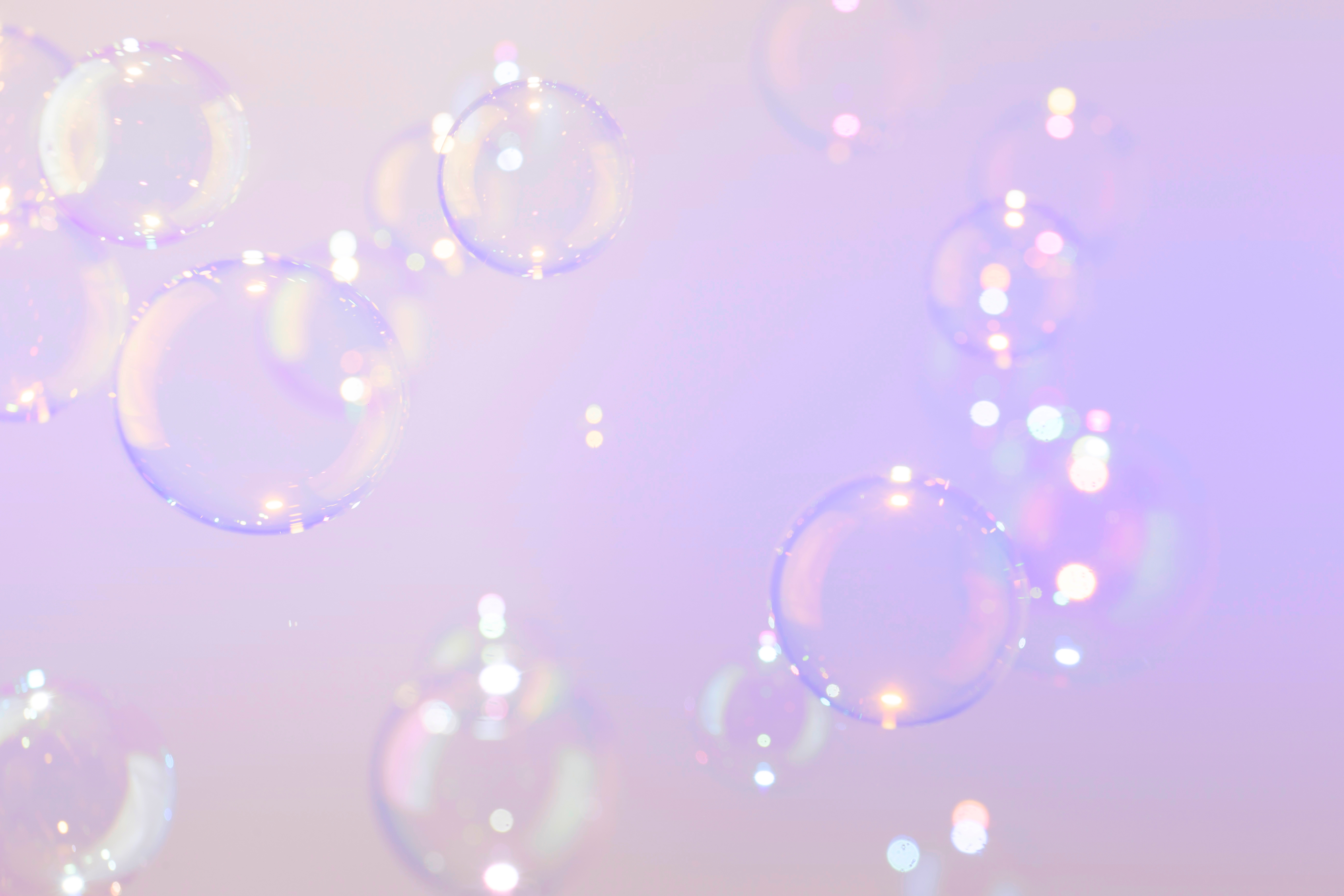 Shutterstock 2066057204