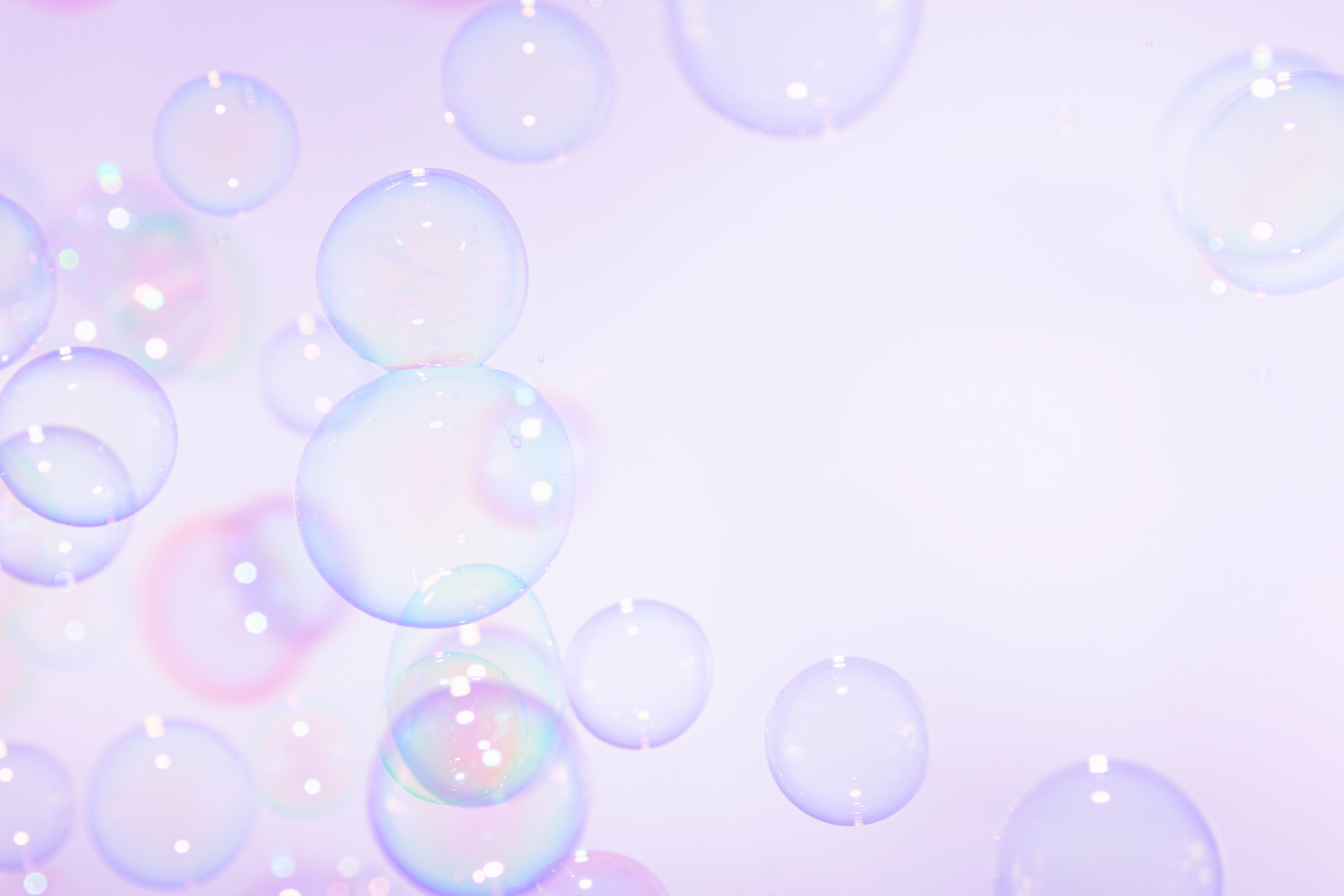 Shutterstock 2120454125